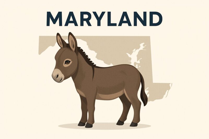 Maryland